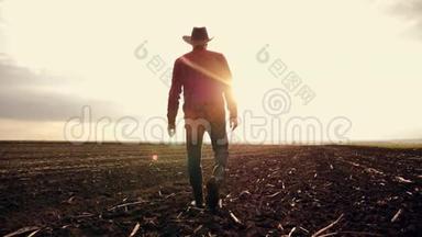 日落时分，一个农夫走过田野。农艺师检查地上种植的农产品。方式